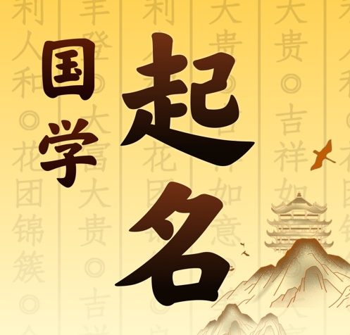 鸡冠国学起名 人工起名一对一